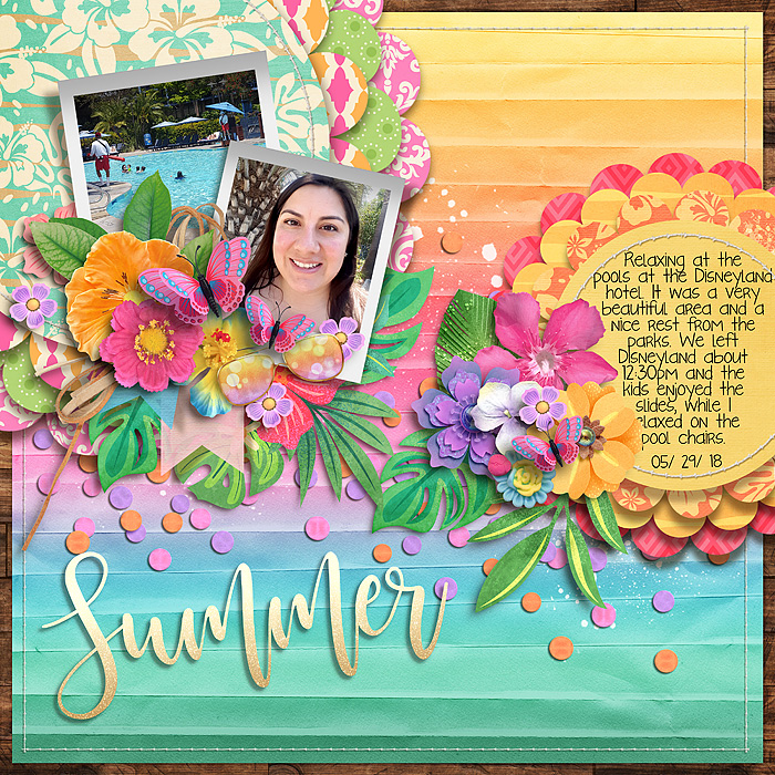 Summer-Vacay-SSD-mrsashbaugh.jpg