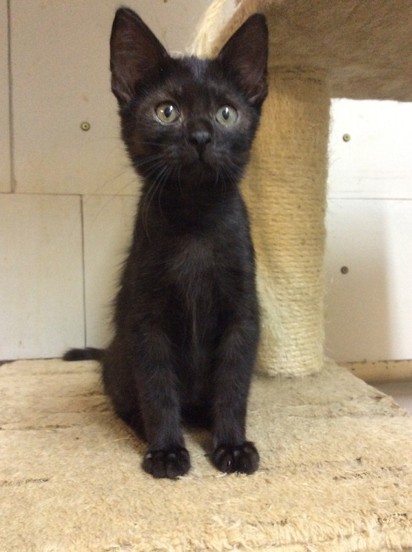 2454F909-B163-4348-AD41-CE374E066EA9