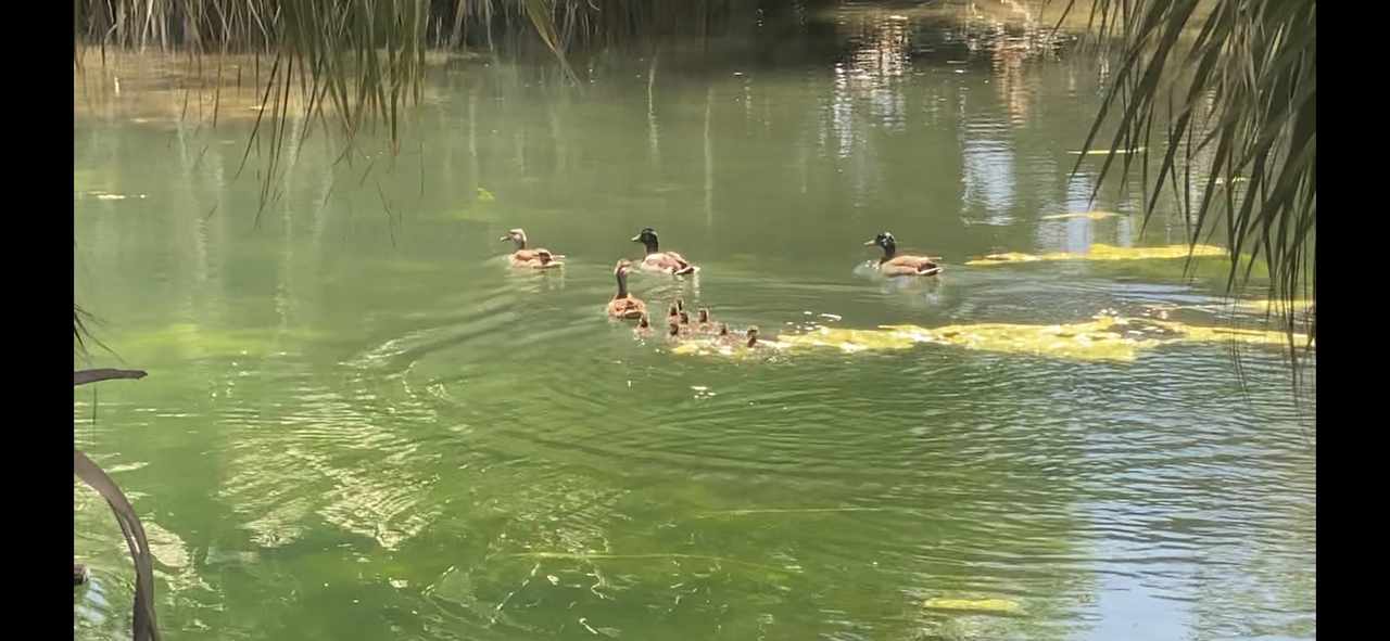 07831DCD-0A1A-4E4A-BA37-0F9941681429