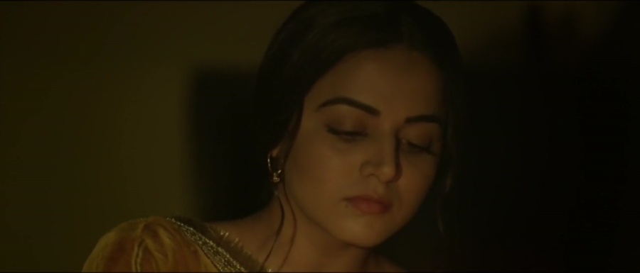 Parahuna 2018 WebRip [Punjabi] 480p, 720p ESub Screenshot
