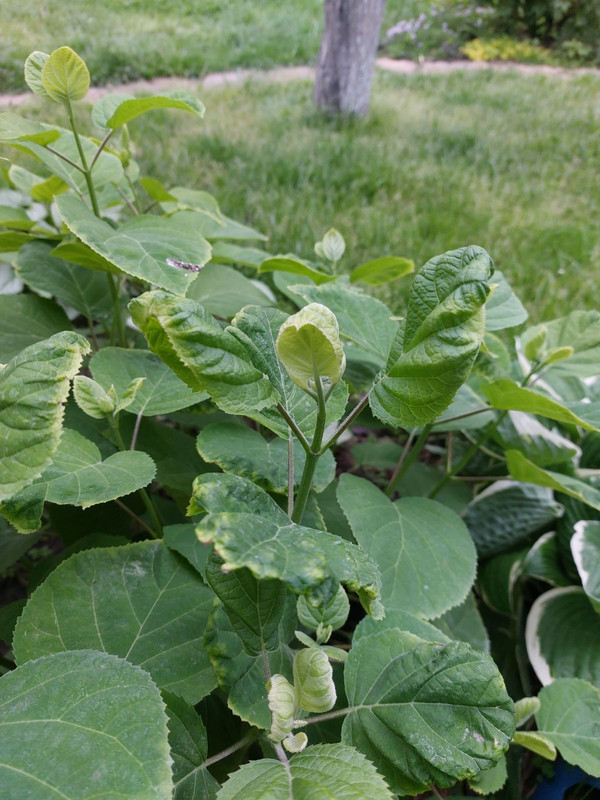 изображение_viber_2022-05-20_19-27-11-110