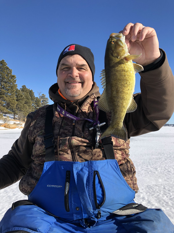 DE394177-DDD2-4FCB-87DC-E200838058CA