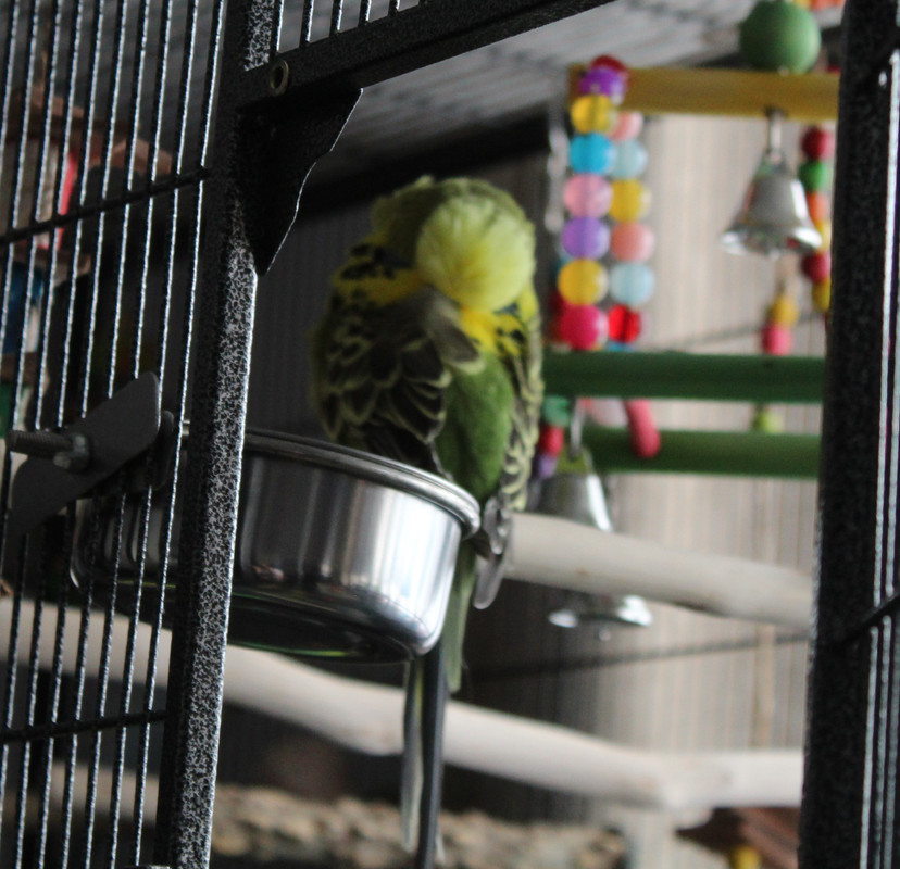 20230717165256 IMG 0467 — Postimages