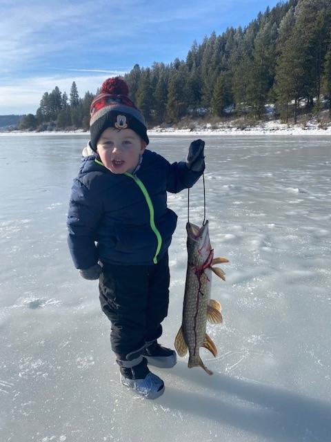 Icefish