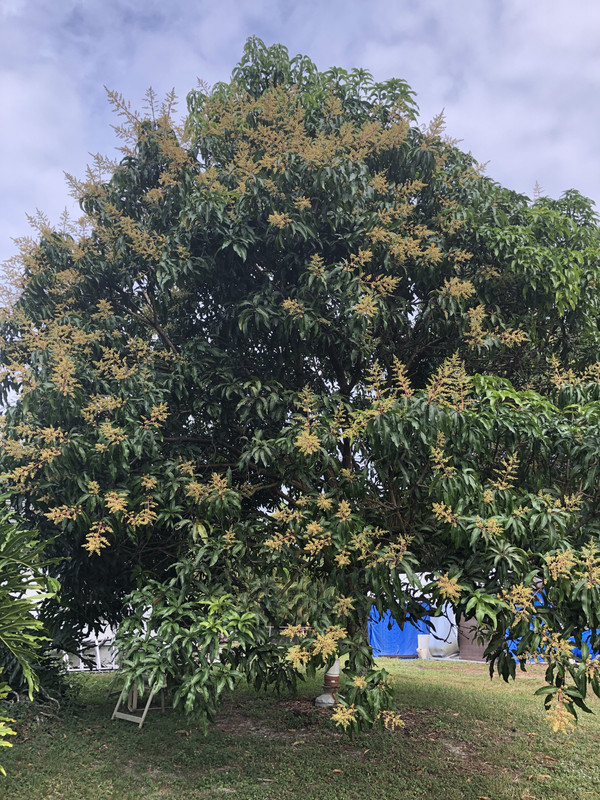 B713AE25-C4B7-43CF-94D6-6DA7D44573E0