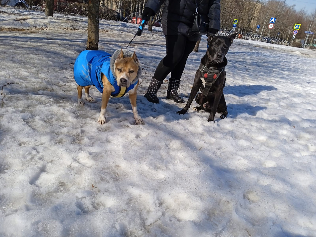 43E11092-5EA6-4DA8-BBAD-122B824EB580