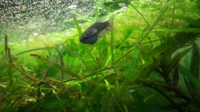 20151212_150312_resized (1)