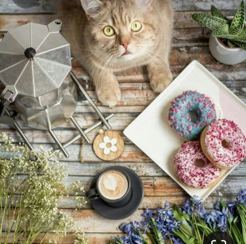 Screenshot_20230501_212819_Pinterest