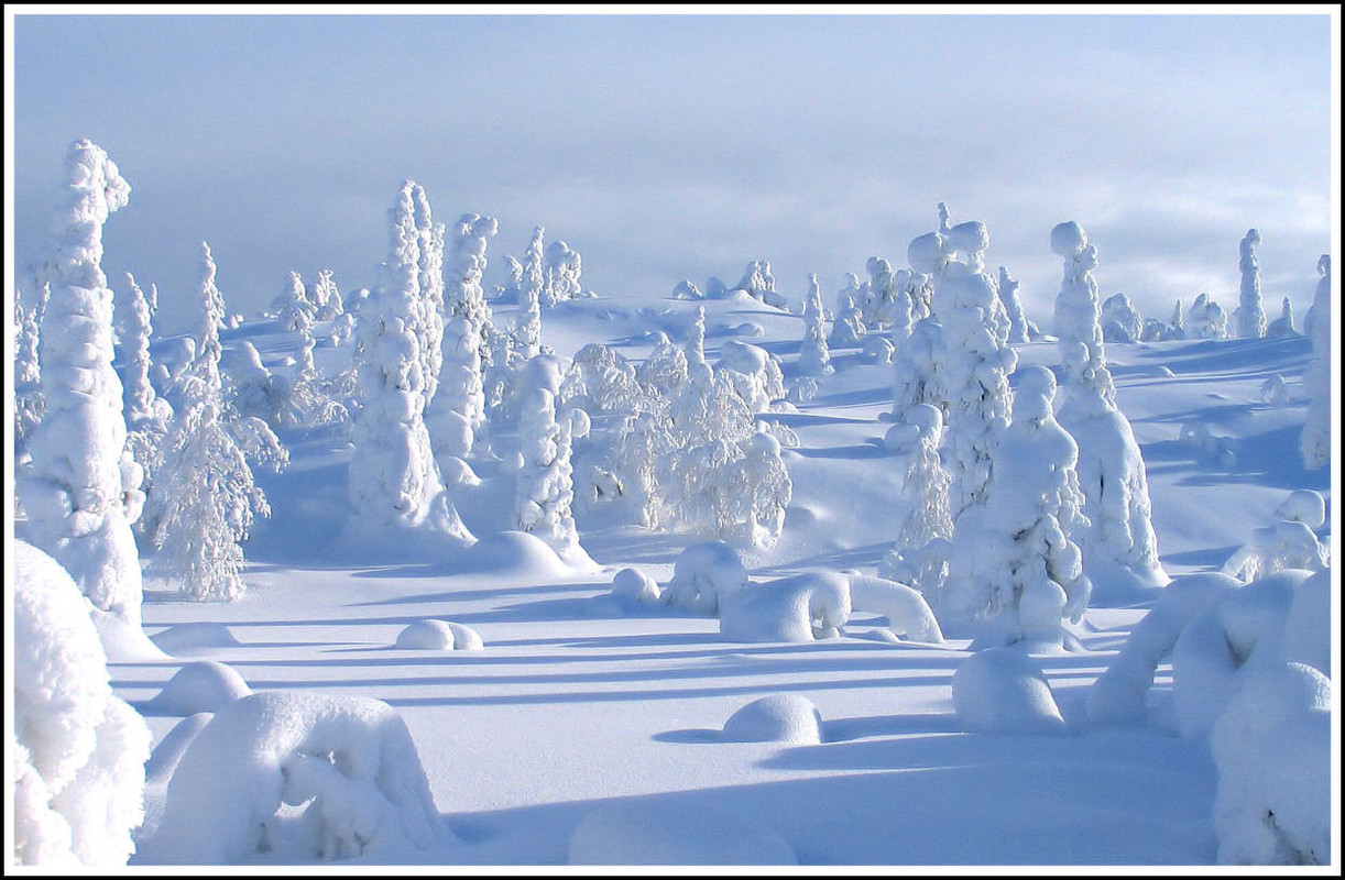 Lapland Finland 11