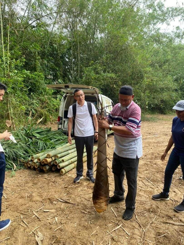 Wakil kerajaan China memeriksa kualiti bekalan buluh betong