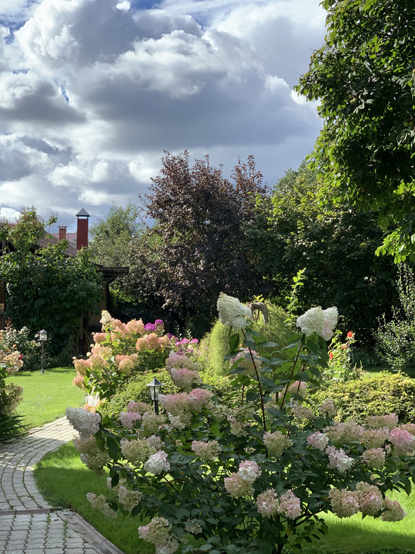 0C60CC7B-23D0-4BCC-826F-376E8183EDE7