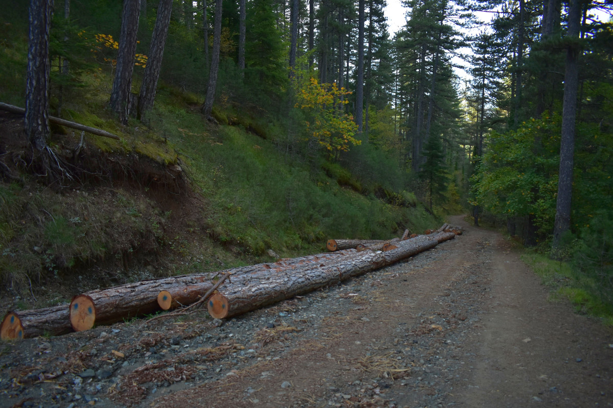 Βάλια Κάλντα (5)