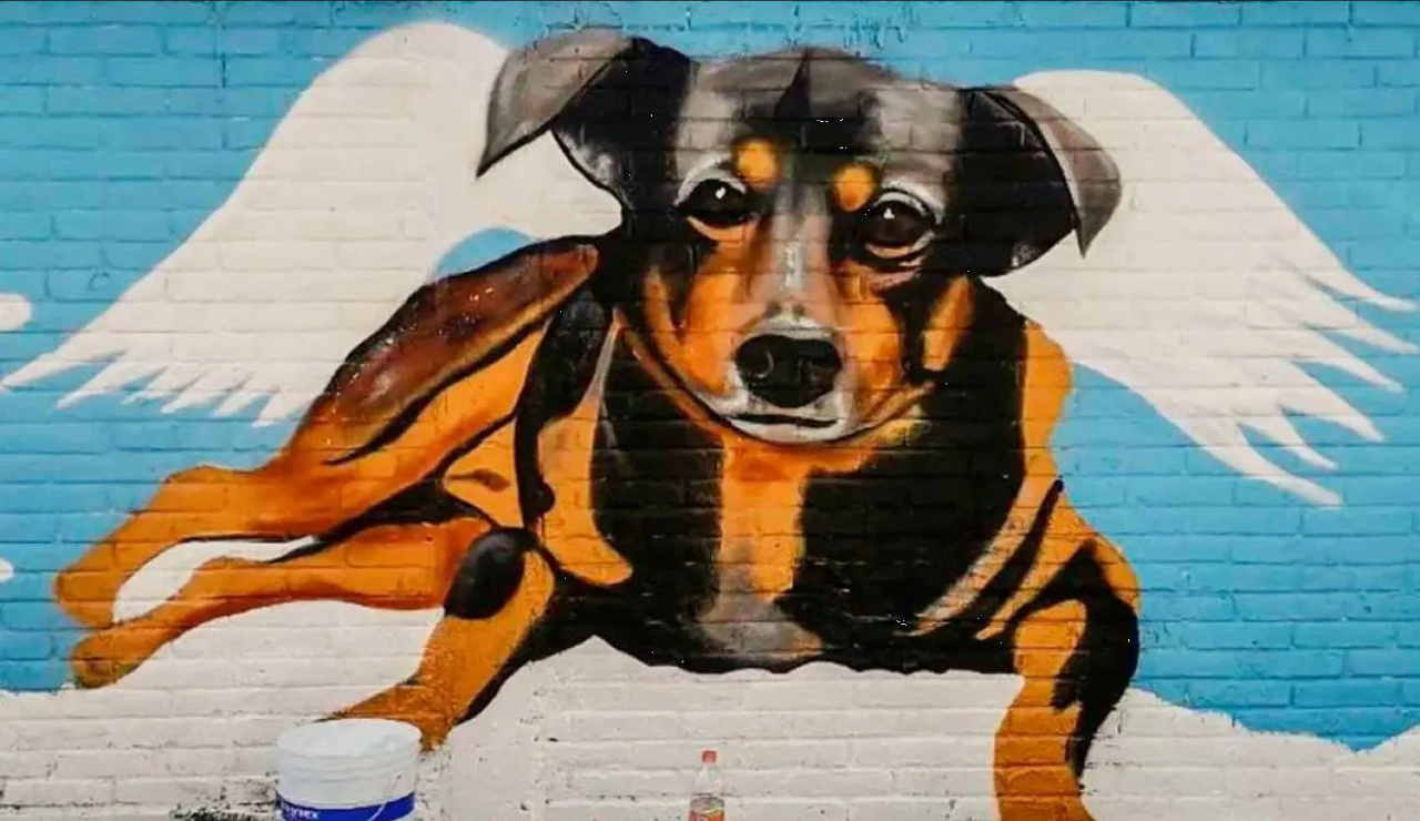 Dan 5 años de prisión al hombre que arrojó un perrito a un cazo hirviendo