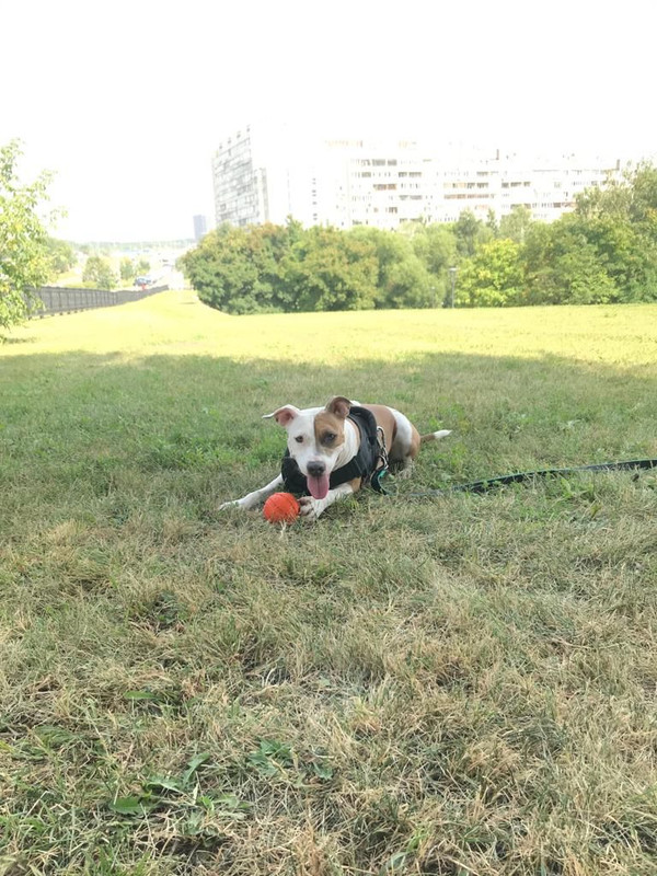 D01A389A-049C-455B-87DD-A2722D14E10C