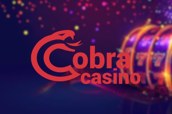 Cobra im Test