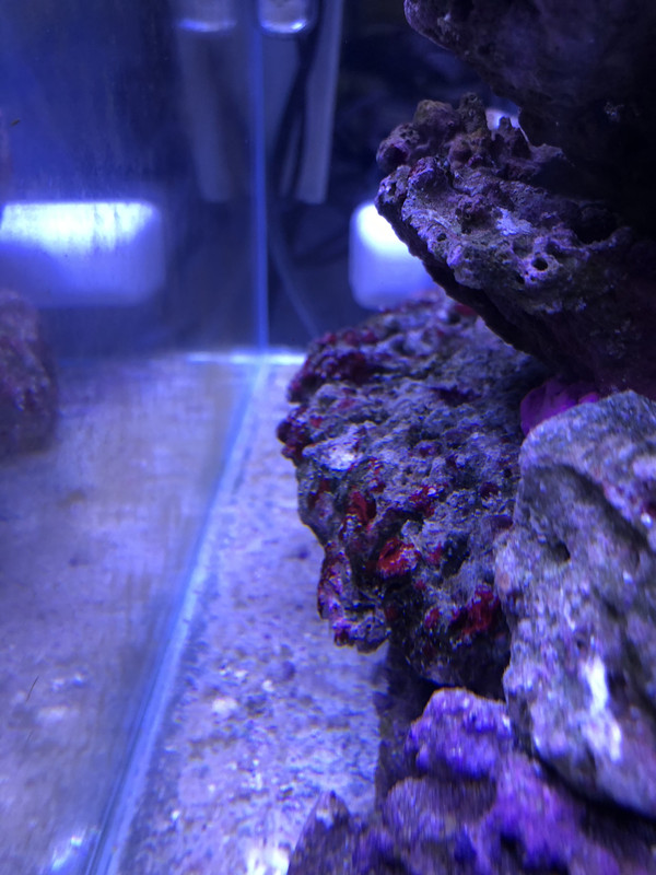 73BA49BC-789E-496F-A6D8-899E7CE07DCF