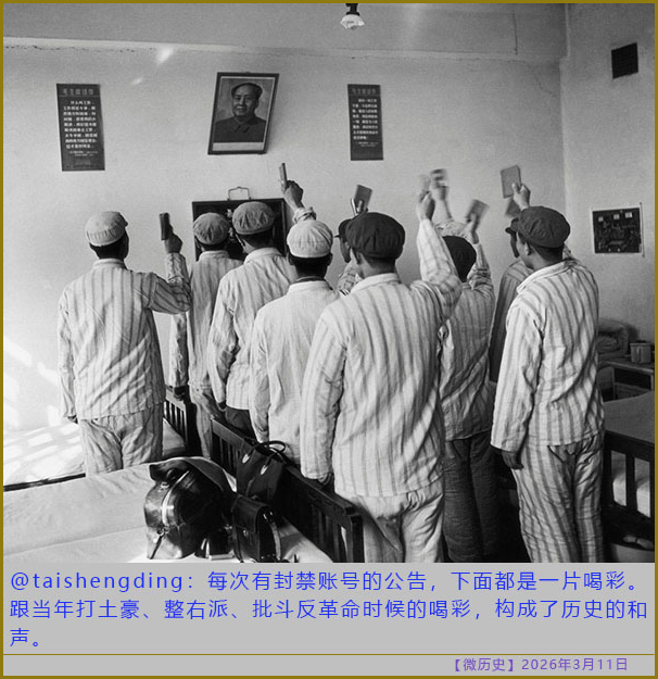 https://i.postimg.cc/CxBNNFTv/20260311-ls-(9).jpg