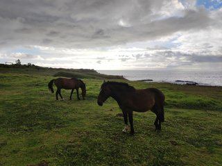 Motu Kao Kao- Motu Iti -Motu Nui - Hanga Roa - Atardecer Ahu Tahai - Isla de Pascua - Chile (31)