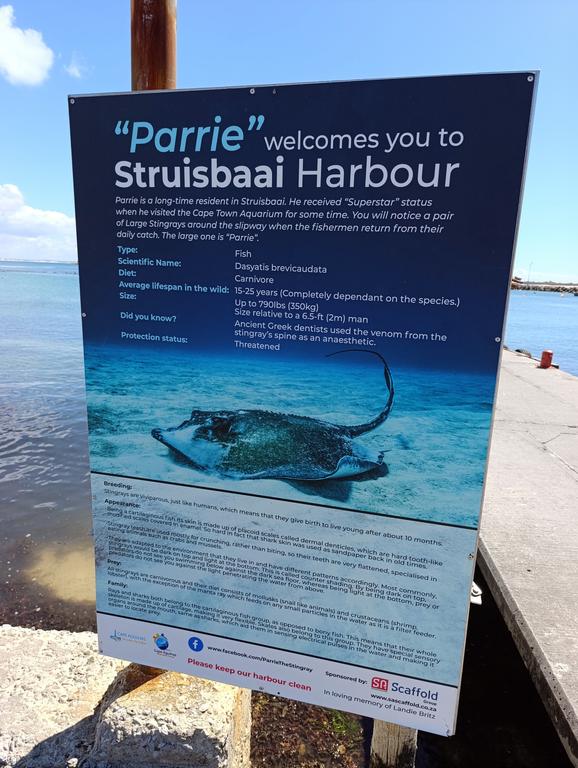 Такая близкая Африка. (ЮАР. 22 дня и 4200 км. Ноябрь-Декабрь)