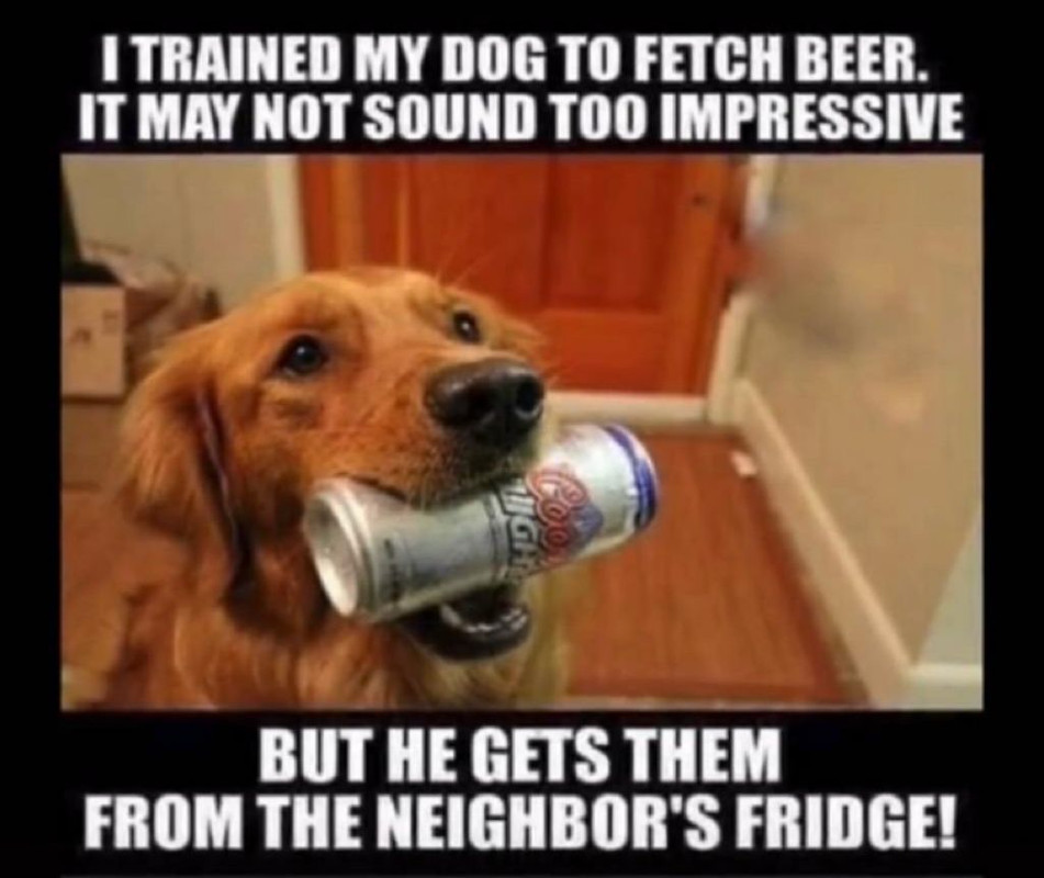 WhatsApp Image 2021-06-18 at 1.09.20 PM (1)