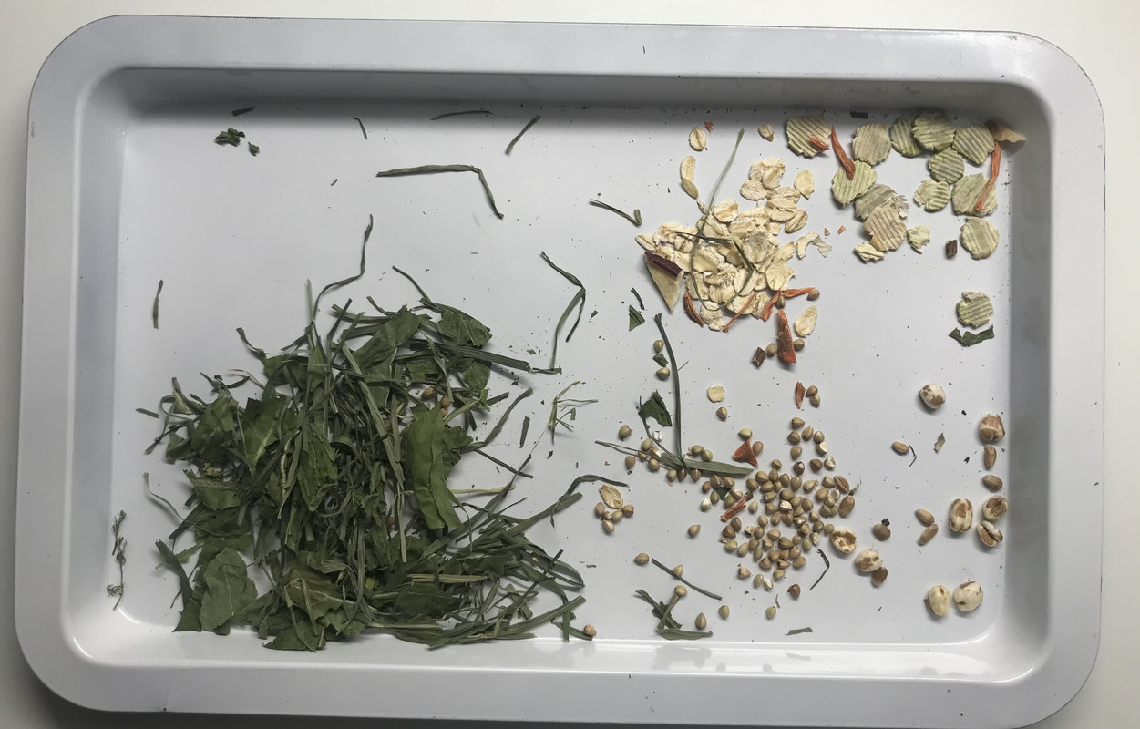 11801C3A-B9CC-4562-A1CC-7ADDB0F2E073