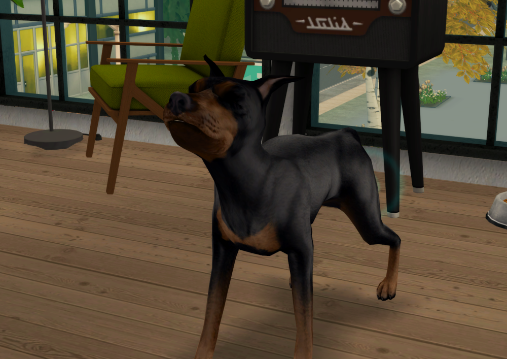 Sims2-EP9-RPC-2022-06-25-21-01-22-45