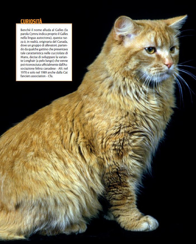 QuattroZampe Set 2021 (10)