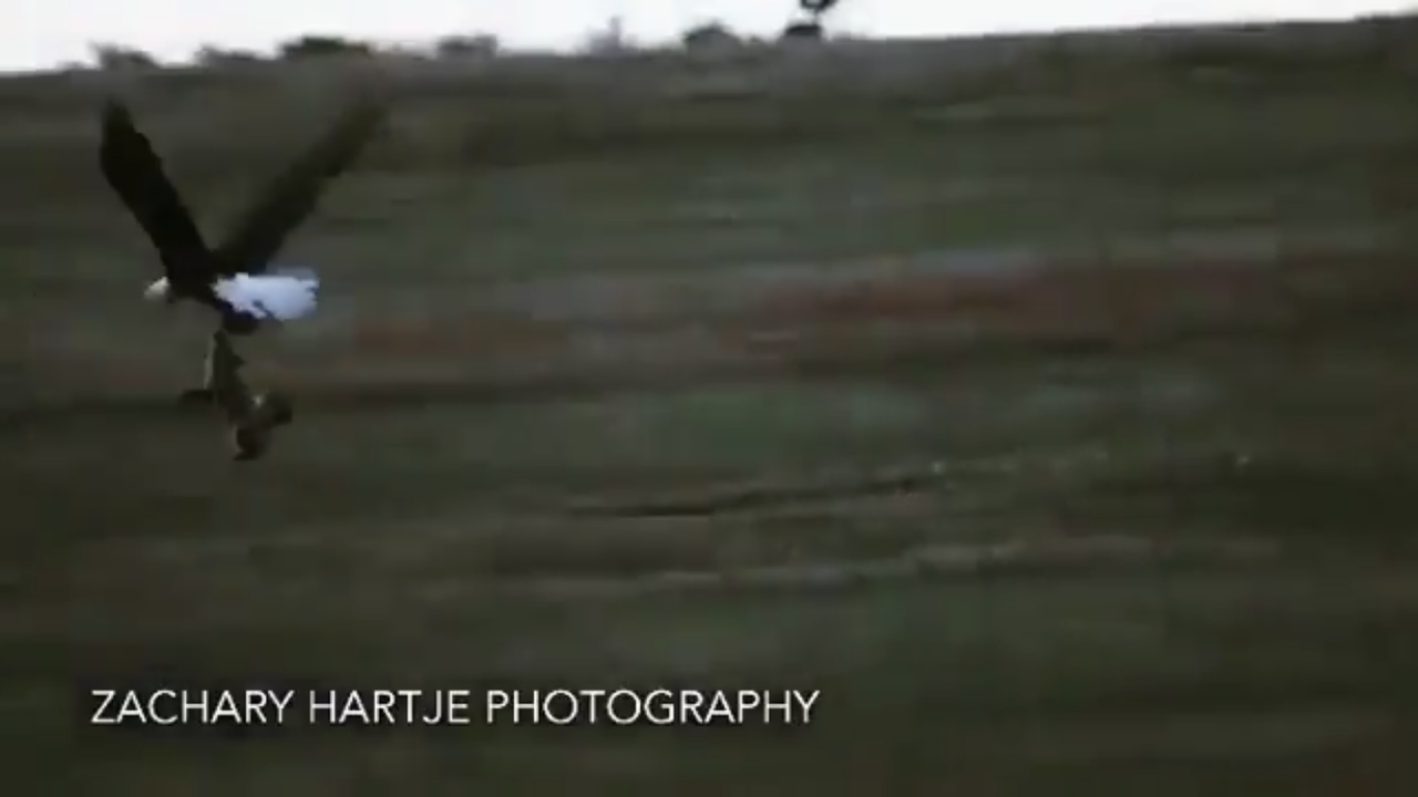 395-F740-C-7878-4895-B0-D6-73-CA14-B85-F