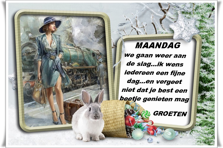 Klik op de afbeelding om de link te volgen