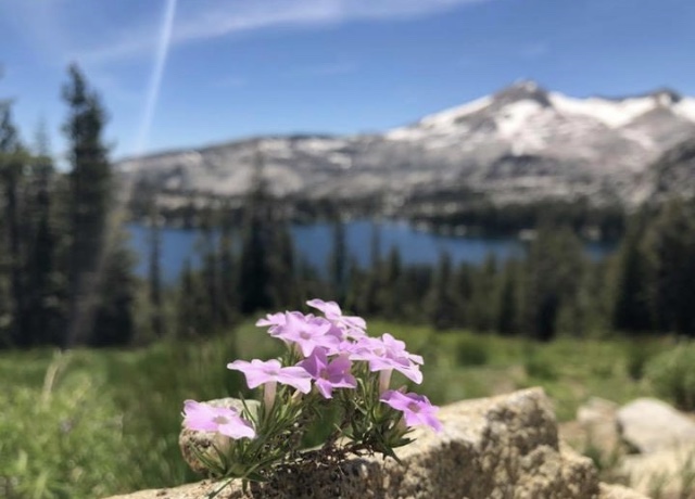 [Image: 9084-B3-F1-73-FF-4-C67-8-FD4-5-DEE59-D937-F5.jpg]