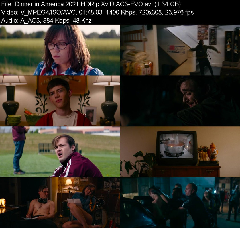 dinner-in-america-2021-hdrip-xvid-ac3-ev