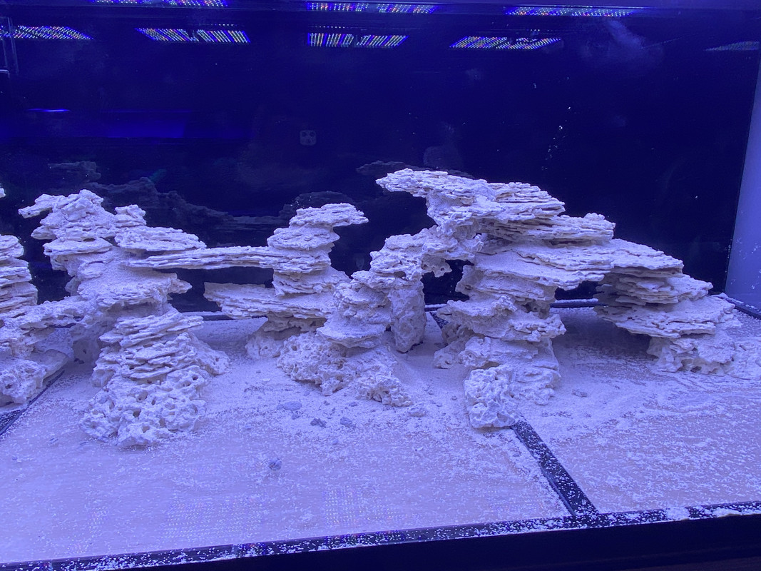 389998A5-FD52-41C7-A344-94D9B1196FCB