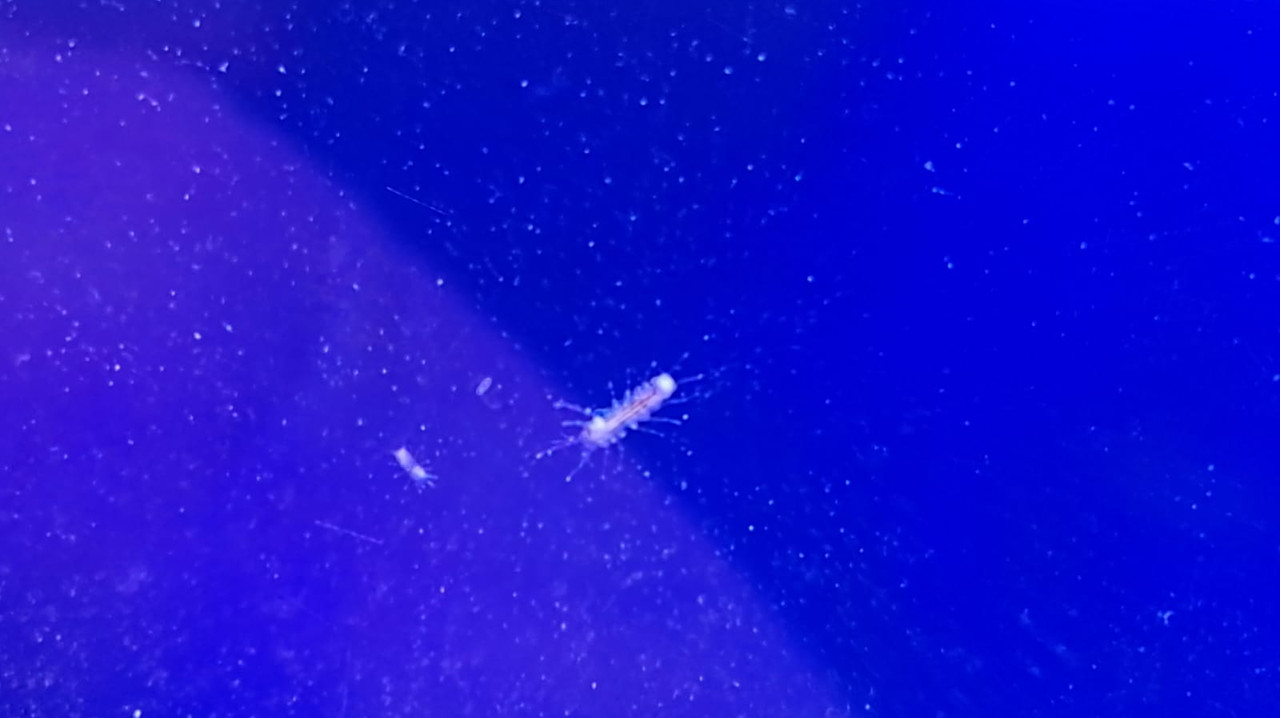 WhatsApp Image 2019-07-17 at 19.45.11 (1)