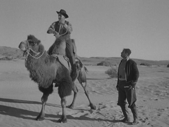 Desert.Pursuit.1952.mkv_snapshot_00.31.52_[2016.