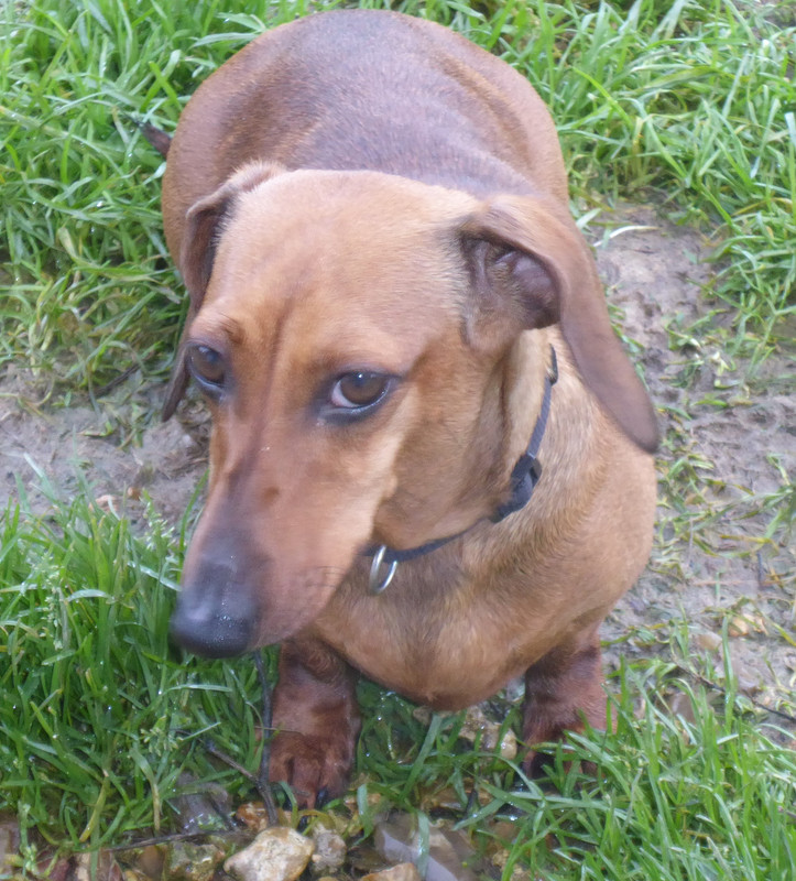 [Image: P1040200.jpg]