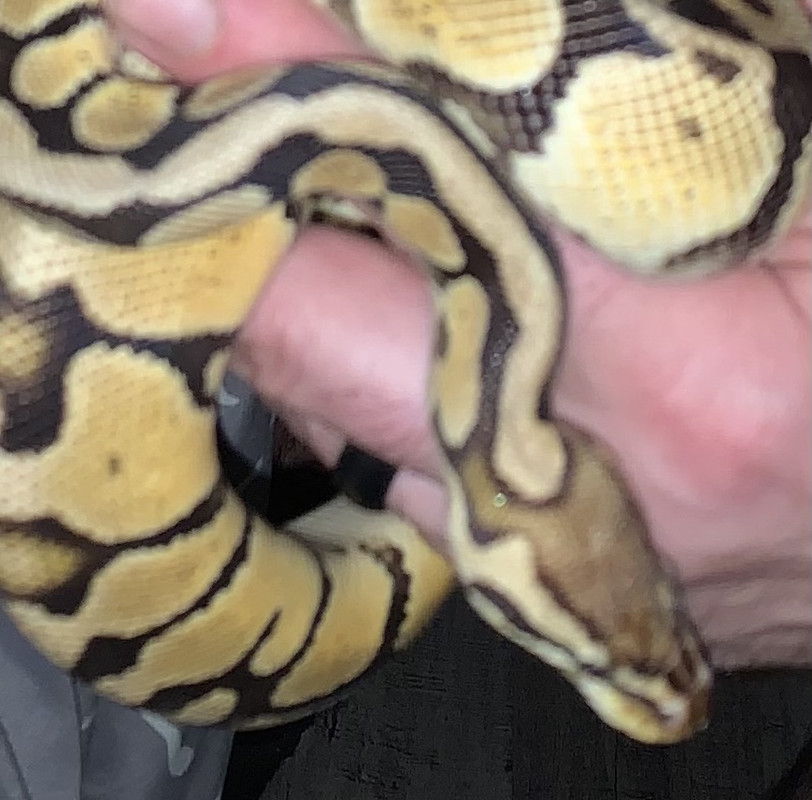 8784CE57-1077-4A45-BE98-AD6257FE9603