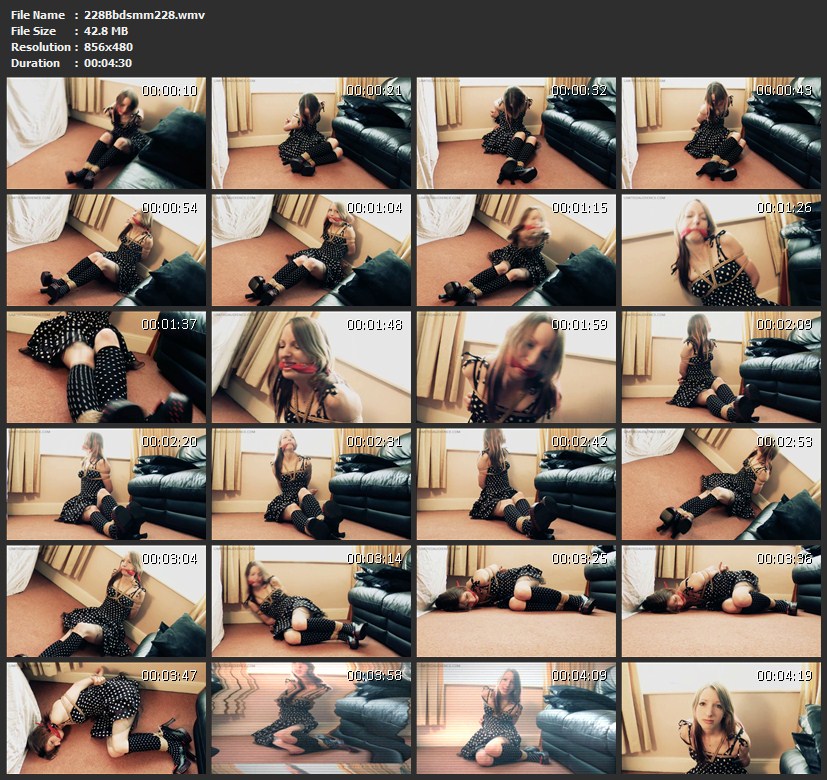 228Bbdsmm228.wmv