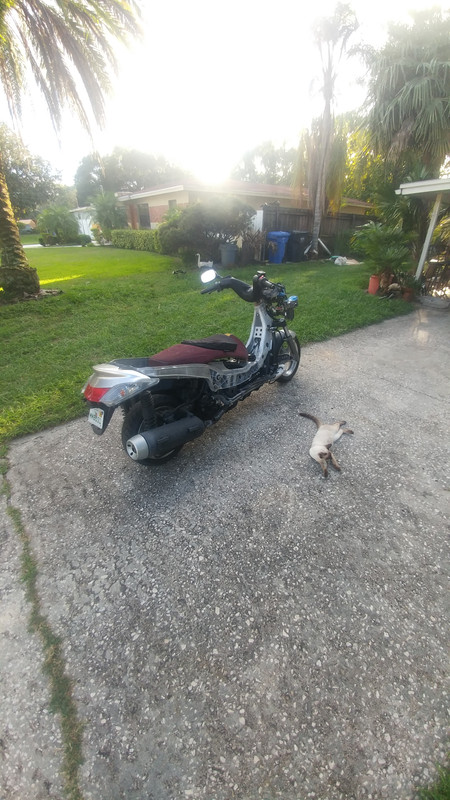 External inline image provided by member with no explanatory text