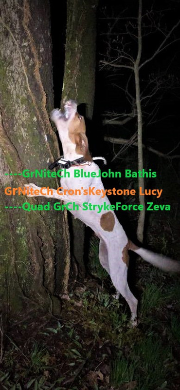 Resized_IMG_4697 (1)