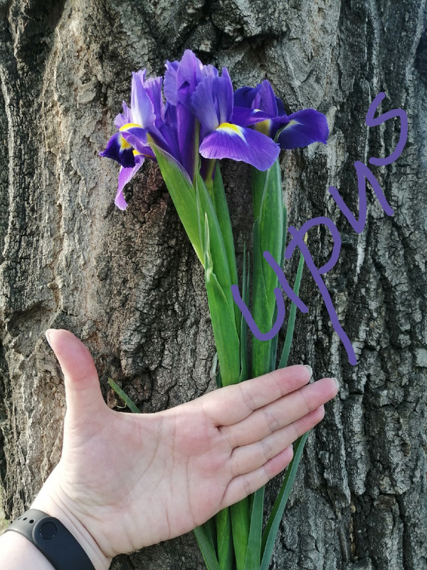 9F64BDF4-1CB1-4A3B-9E83-EB9D5AD9D27E