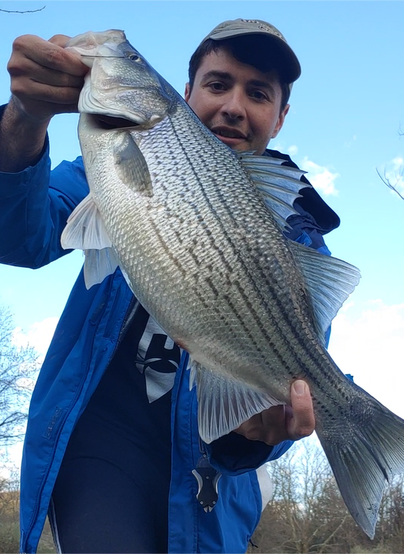 Screenshots_2024-04-12-22-51-44