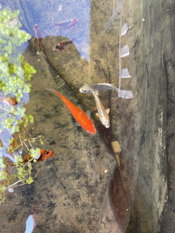 AE611AF2-3EE3-4E5E-81BF-4494EE52B12D