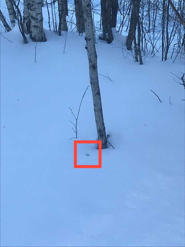 IMG 20260205 132701 797