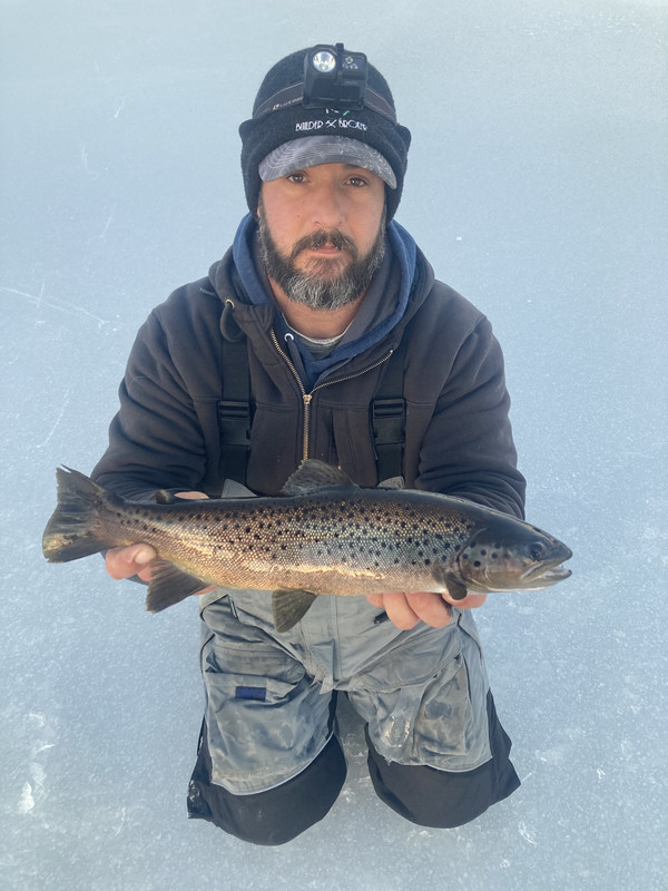 C216866A-00EA-4D8B-A784-3BF097D3B2F8