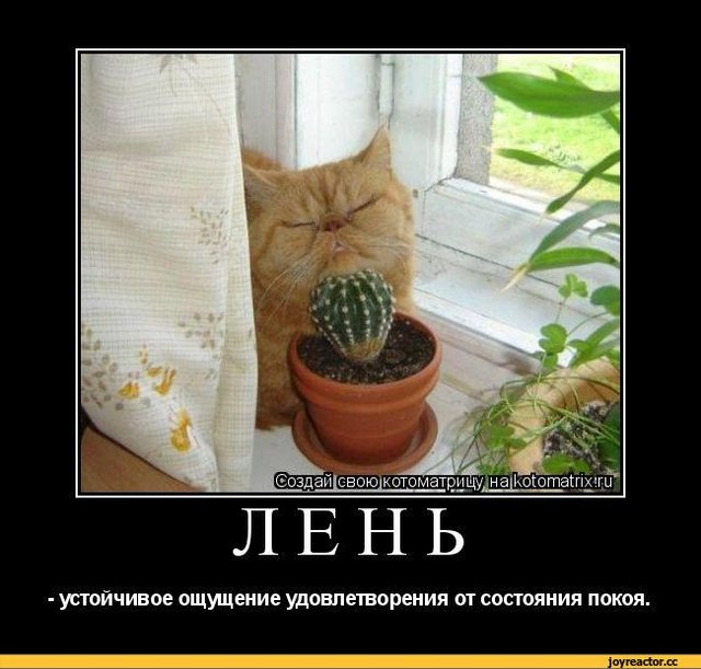https://i.postimg.cc/CxFjFDc6/7319626-0ac80a30b032b68461870ec708aefa00-800.jpg
