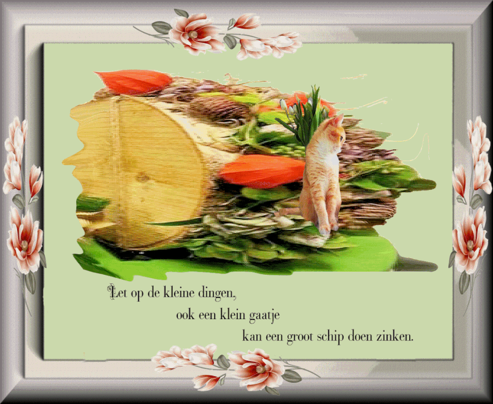 plaatje-27-juni-2021