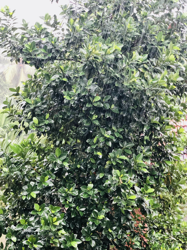 FE264-CEE-925-E-467-C-A0-BC-08949-BB0-A3