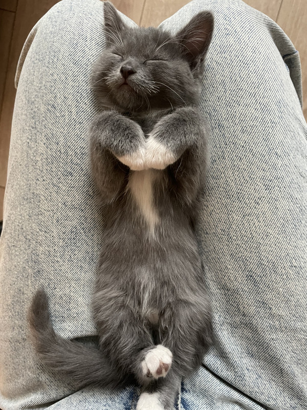 48B1647A-F131-45E4-AE14-DCB0E51426F9