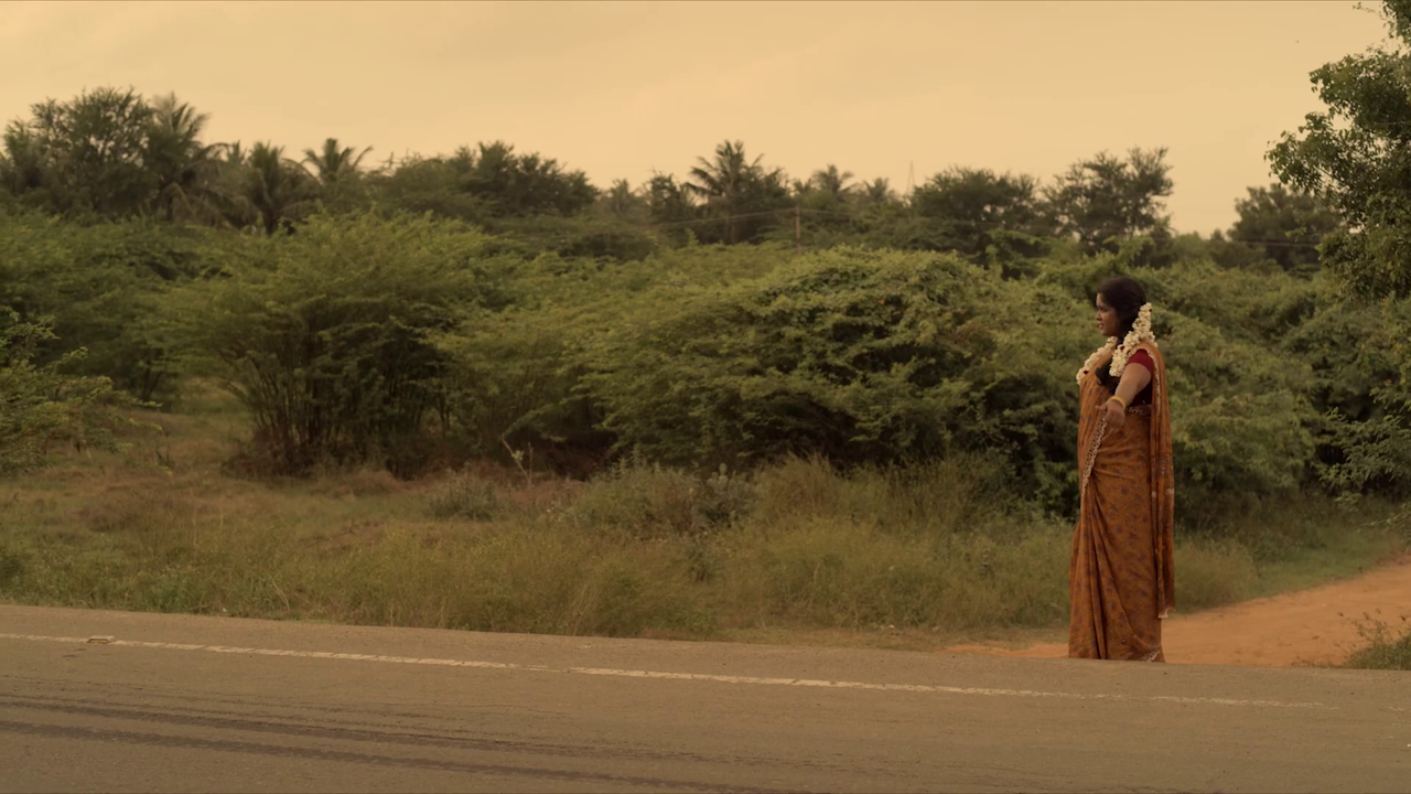 vlcsnap 2026 02 23 18h07m19s184