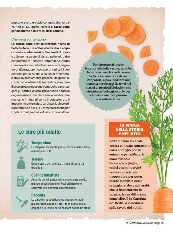 Cur Mang Apr-Mag 2024 (10)